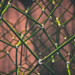 connected from unsplash